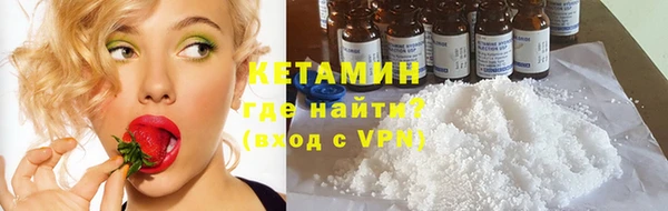 индика Козловка