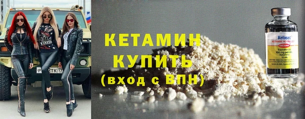 индика Козловка