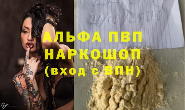 индика Козловка